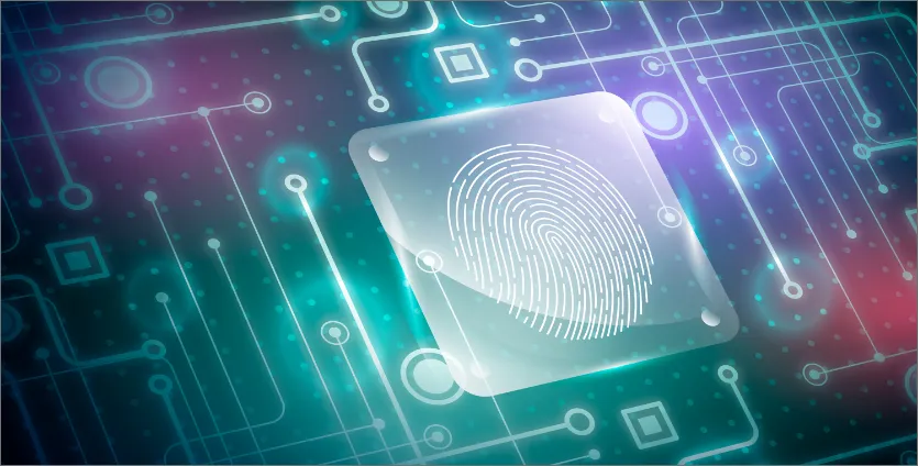Identification de datas